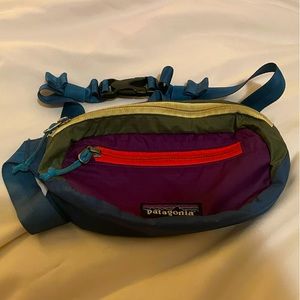 Patagonia Mini Hip Pack